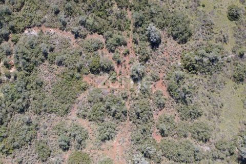 Helårsgrund i Silves, Faro, Silves - € 8.000 | Ref: ZMPT583960 - foto 15