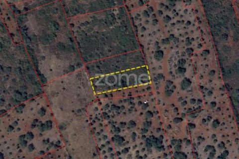 Helårsgrund i Silves, Faro, Silves - € 8.000 | Ref: ZMPT583960 - foto 16