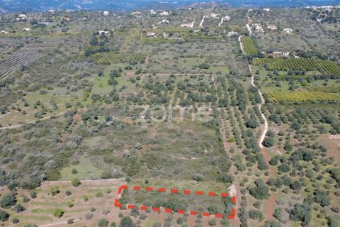 Grond in Silves, Faro, Silves - € 8.000 | Ref: ZMPT583960 - foto 14