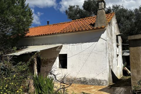 Villa i Silves, Faro, Silves - € 265.000 | Ref: ZMPT585339 - foto 3