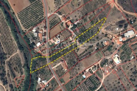 Villa i Silves, Faro, Silves - € 265.000 | Ref: ZMPT585339 - foto 15