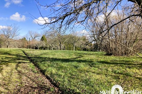 Villa a Segonzac, Charente, Segonzac - € 376.200 | Ref: 160056425NE - foto 12