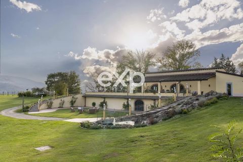Villa a Vicchio, Florence, Vicchio - € 3.500.000 | Ref: 116 A - foto 4