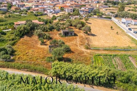 Landejendom i Torpe, Nuoro, Torpe - € 93.000 | Ref: TOV-03-25 - foto 2