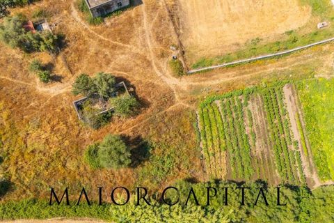 Landejendom i Torpe, Nuoro, Torpe - € 93.000 | Ref: TOV-03-25 - foto 14
