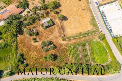 Landejendom i Torpe, Nuoro, Torpe - € 93.000 | Ref: TOV-03-25 - foto 15
