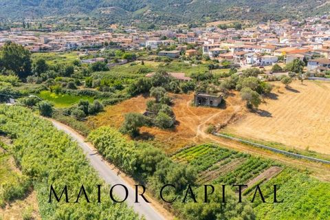 Landejendom i Torpe, Nuoro, Torpe - € 93.000 | Ref: TOV-03-25 - foto 16