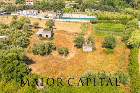 Landejendom i Torpe, Nuoro, Torpe - € 93.000 | Ref: TOV-03-25 - foto 17