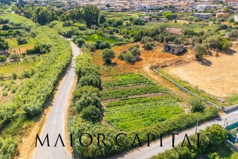 Landejendom i Torpe, Nuoro, Torpe - € 93.000 | Ref: TOV-03-25 - foto 21