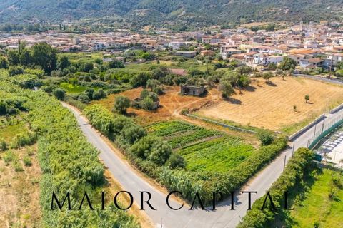 Landejendom i Torpe, Nuoro, Torpe - € 93.000 | Ref: TOV-03-25 - foto 22