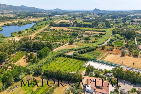 Landejendom i Torpe, Nuoro, Torpe - € 93.000 | Ref: TOV-03-25 - foto 25