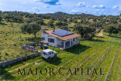Terra a Oschiri, Sassari, Oschiri - € 129.000 | Ref: BEV-06-25 - foto 2