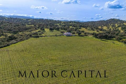 Terra a Oschiri, Sassari, Oschiri - € 129.000 | Ref: BEV-06-25 - foto 3