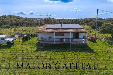 Terra a Oschiri, Sassari, Oschiri - € 129.000 | Ref: BEV-06-25 - foto 4