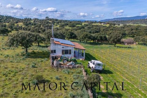 Terra a Oschiri, Sassari, Oschiri - € 129.000 | Ref: BEV-06-25 - foto 5
