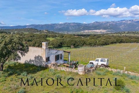Terra a Oschiri, Sassari, Oschiri - € 129.000 | Ref: BEV-06-25 - foto 6