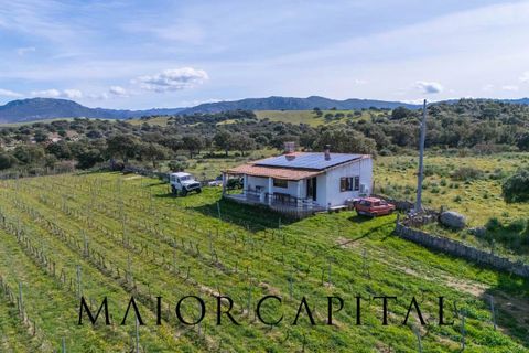 Terra a Oschiri, Sassari, Oschiri - € 129.000 | Ref: BEV-06-25 - foto 7