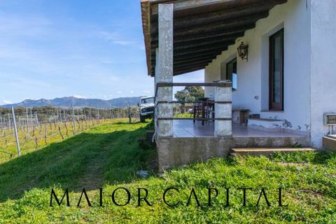 Terra a Oschiri, Sassari, Oschiri - € 129.000 | Ref: BEV-06-25 - foto 8
