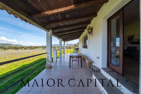 Terra a Oschiri, Sassari, Oschiri - € 129.000 | Ref: BEV-06-25 - foto 9