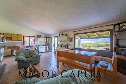 Terra a Oschiri, Sassari, Oschiri - € 129.000 | Ref: BEV-06-25 - foto 11