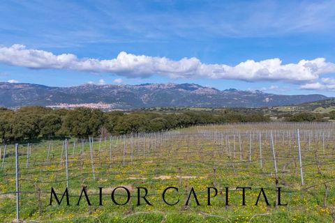 Terra a Oschiri, Sassari, Oschiri - € 129.000 | Ref: BEV-06-25 - foto 14