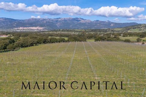 Terra a Oschiri, Sassari, Oschiri - € 129.000 | Ref: BEV-06-25 - foto 18