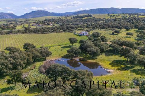 Terra a Oschiri, Sassari, Oschiri - € 129.000 | Ref: BEV-06-25 - foto 20