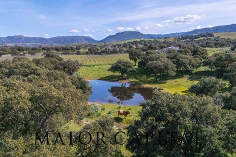 Terra a Oschiri, Sassari, Oschiri - € 129.000 | Ref: BEV-06-25 - foto 21