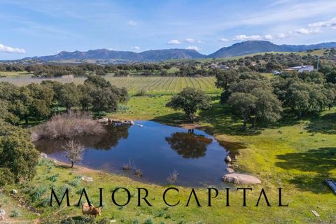 Terra a Oschiri, Sassari, Oschiri - € 129.000 | Ref: BEV-06-25 - foto 22