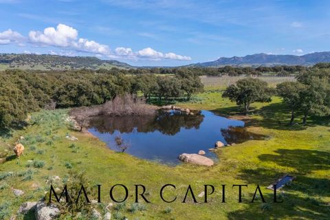 Terra a Oschiri, Sassari, Oschiri - € 129.000 | Ref: BEV-06-25 - foto 23