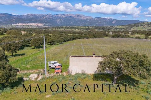 Terra a Oschiri, Sassari, Oschiri - € 129.000 | Ref: BEV-06-25 - foto 25