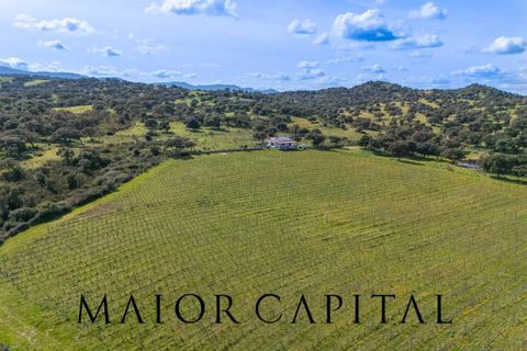 Terra a Oschiri, Sassari, Oschiri - € 129.000 | Ref: BEV-06-25 - foto 26