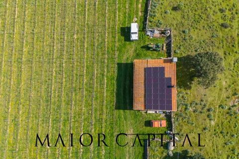 Terra a Oschiri, Sassari, Oschiri - € 129.000 | Ref: BEV-06-25 - foto 27