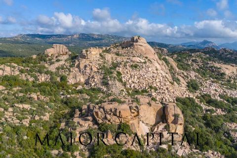 Terra a Calangianus, Sassari, Calangianus - € 150.000 | Ref: OLV-57-24 - foto 2