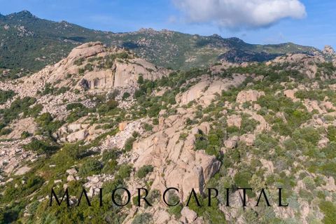 Terra a Calangianus, Sassari, Calangianus - € 150.000 | Ref: OLV-57-24 - foto 5