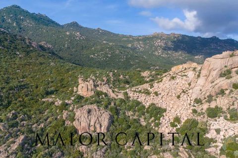 Terra a Calangianus, Sassari, Calangianus - € 150.000 | Ref: OLV-57-24 - foto 6