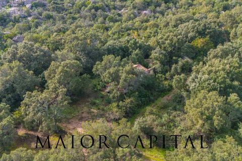 Terra a Calangianus, Sassari, Calangianus - € 150.000 | Ref: OLV-57-24 - foto 7