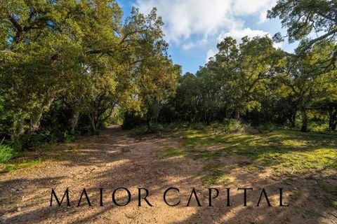 Terra a Calangianus, Sassari, Calangianus - € 150.000 | Ref: OLV-57-24 - foto 8