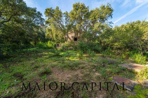 Terra a Calangianus, Sassari, Calangianus - € 150.000 | Ref: OLV-57-24 - foto 9