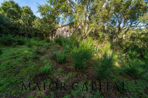 Terra a Calangianus, Sassari, Calangianus - € 150.000 | Ref: OLV-57-24 - foto 11