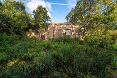 Terra a Calangianus, Sassari, Calangianus - € 150.000 | Ref: OLV-57-24 - foto 12