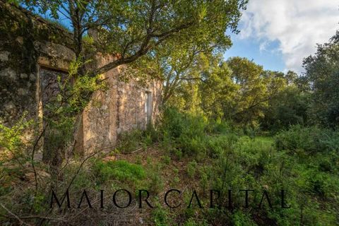 Terra a Calangianus, Sassari, Calangianus - € 150.000 | Ref: OLV-57-24 - foto 13
