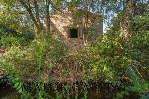 Terra a Calangianus, Sassari, Calangianus - € 150.000 | Ref: OLV-57-24 - foto 15