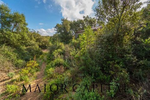 Terra a Calangianus, Sassari, Calangianus - € 150.000 | Ref: OLV-57-24 - foto 16
