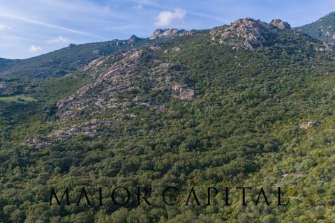 Terra a Calangianus, Sassari, Calangianus - € 150.000 | Ref: OLV-57-24 - foto 17