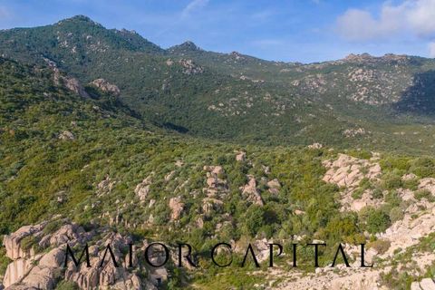 Terra a Calangianus, Sassari, Calangianus - € 150.000 | Ref: OLV-57-24 - foto 18