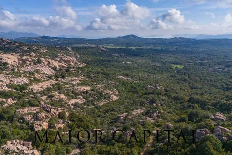 Terra a Calangianus, Sassari, Calangianus - € 150.000 | Ref: OLV-57-24 - foto 21