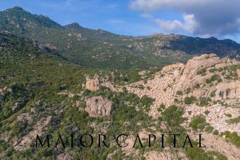 Terra a Calangianus, Sassari, Calangianus - € 150.000 | Ref: OLV-57-24 - foto 22