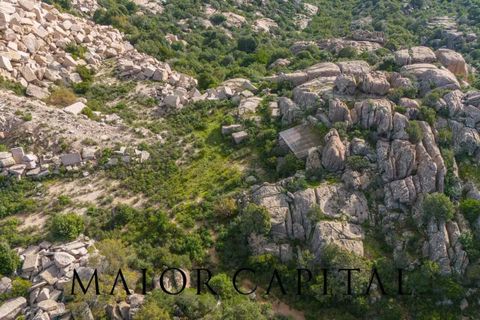 Terra a Calangianus, Sassari, Calangianus - € 150.000 | Ref: OLV-57-24 - foto 24