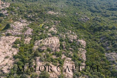 Terra a Calangianus, Sassari, Calangianus - € 150.000 | Ref: OLV-57-24 - foto 29